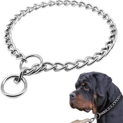 Choke Chain Leash For Dogs
