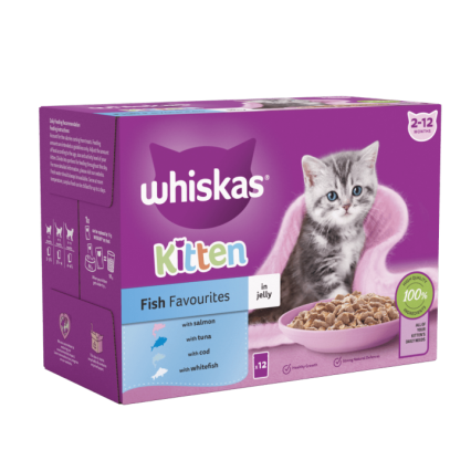 Whiskas Junior 2-12 Months Jelly