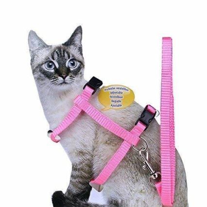 Cat Harness With Leash