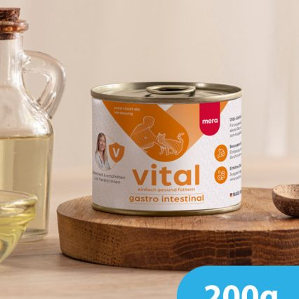 Meravital Gastrointestinal Wet Food For Cat (200g)