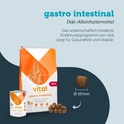 Meravital Gastro-Intestinal Dry Cat Food