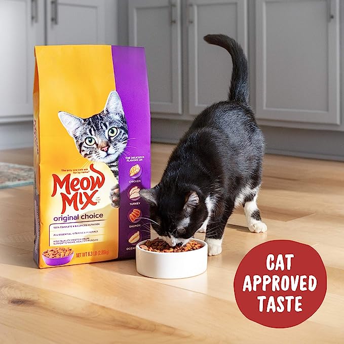 Meow Mix Original Choice Dry Cat Food