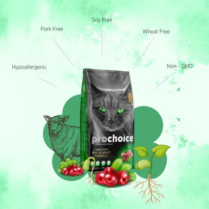 Prochoice  Adult Dry Cat Food-Lamb And Rice 2kg