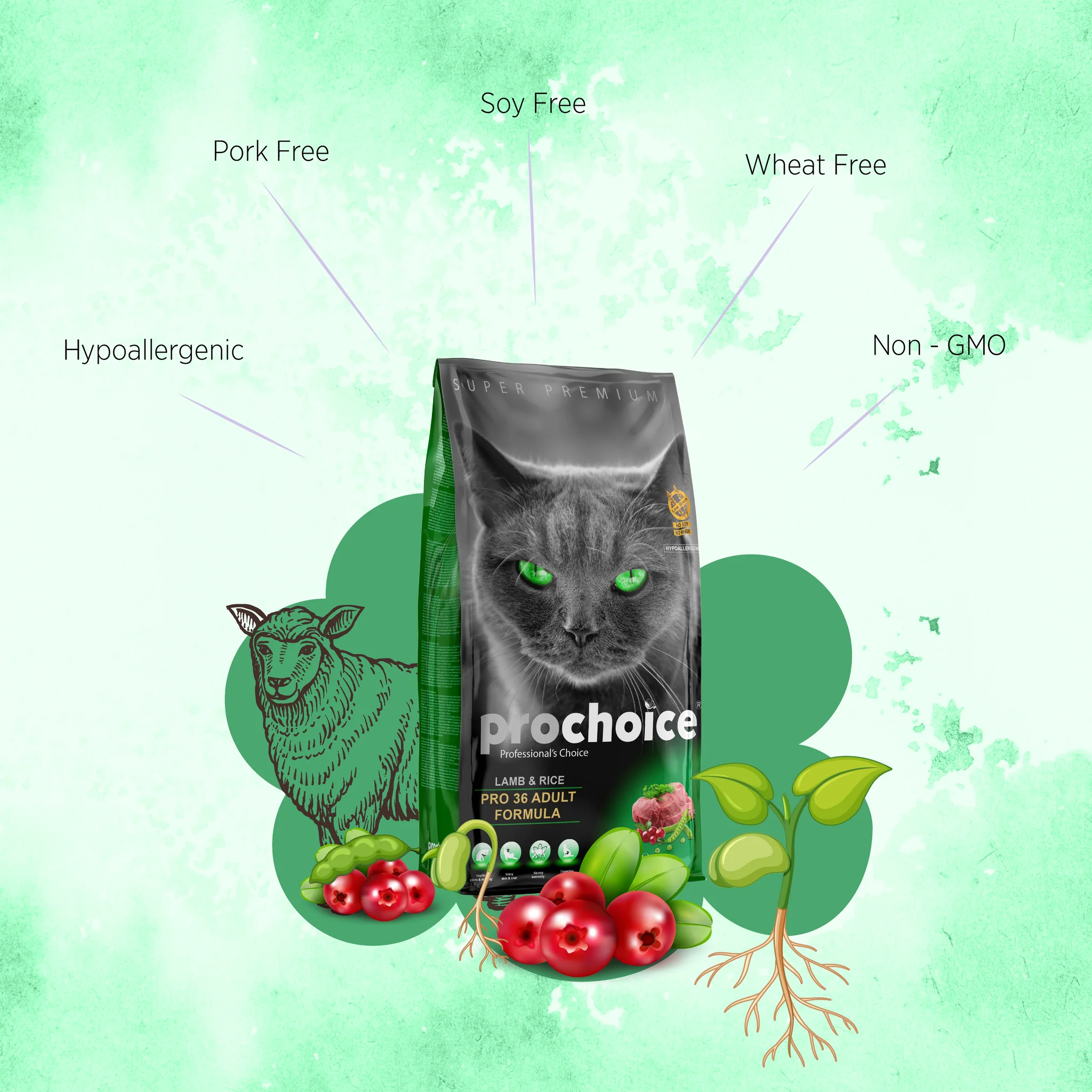 Prochoice Adult Dry Cat Food-Lamb And Rice 2kg