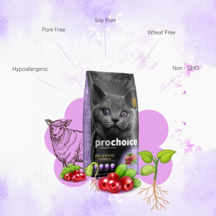 Prochoice Kitten Dry Cat Food-Lamb And Rice