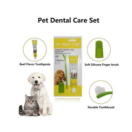 Pet Oral Care
