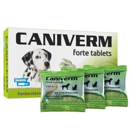 Caniverm Deworming Tablet for Dogs and Cats (PER TAB)