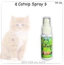 Catnip Spray-Natural Catnip Spray for Cats (70ml)