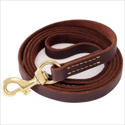 Leather Dog Show Leash (9 feet)