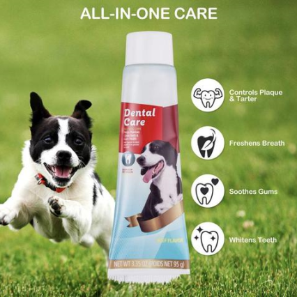 Dental Care Set-All Dog Care